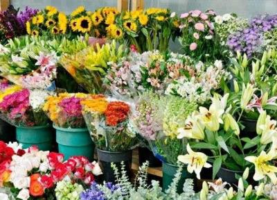 افزایش صادرات گل و گلاب و کاهش مشتری گل های زینتی