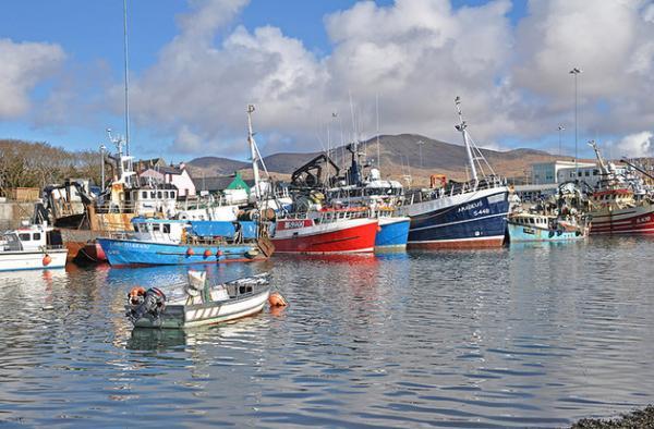 11 مورد از برترین مکان های ماهیگیری در ایرلند