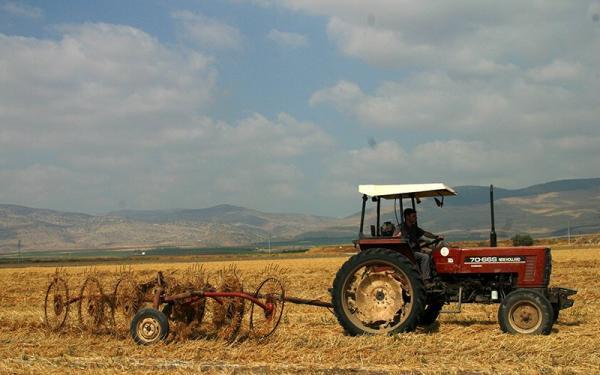 افزایش نرخ خرید تضمینی گندم یاری به کشاورزی است؟
