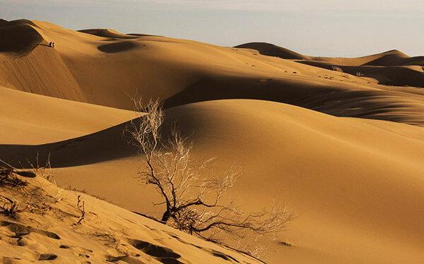 آشنایی با پارک ملی کویر یا آفریقای کوچک ایران در گرمسار