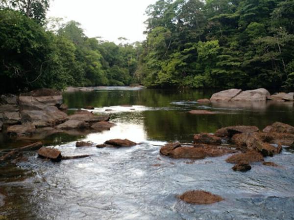 پارک ملی توموکوماکو، طبیعتی بهشتی گمشده در آمازون